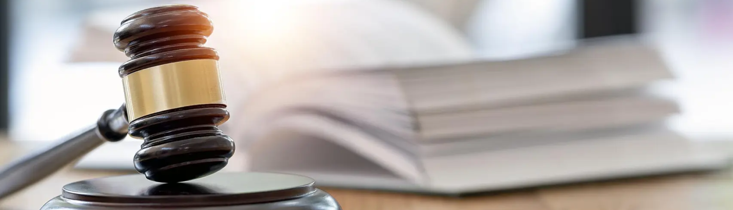 Las obligaciones éticas del abogado en la protección de los derechos humanos y el medioambiente - Teresa Ruano Mochales