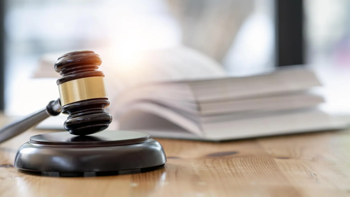 Las obligaciones éticas del abogado en la protección de los derechos humanos y el medioambiente - Teresa Ruano Mochales